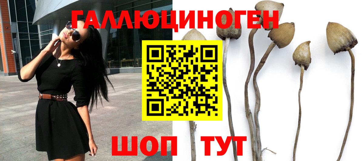 Псилоцибиновые грибы Psilocybe  Галлюциногенные грибы Psilocybe  Вход с VPN  Реутов 